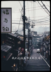 빷
