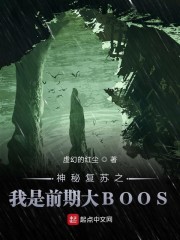 ظ֮ǰڴbos